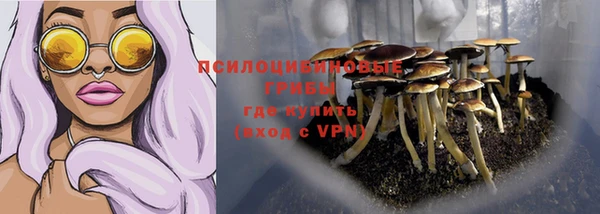 прущие крисы Алексеевка