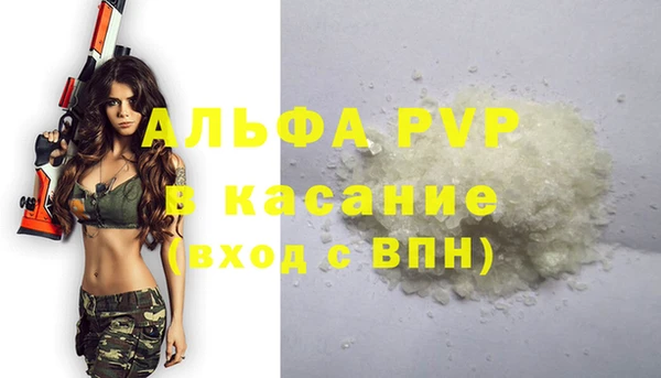 индика Алексин