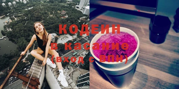 индика Алексин