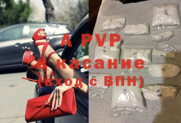 индика Алексин