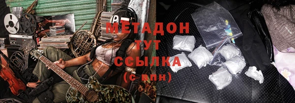 индика Алексин